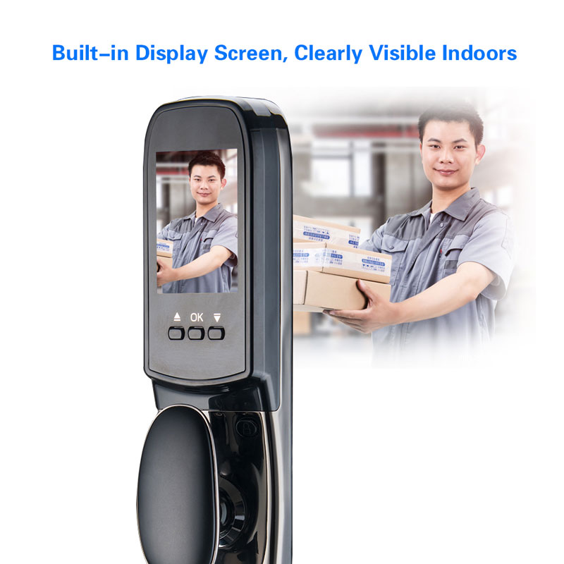 FL-100 Face ID Smart Door Lock for home